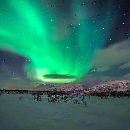 Lyngen Experience