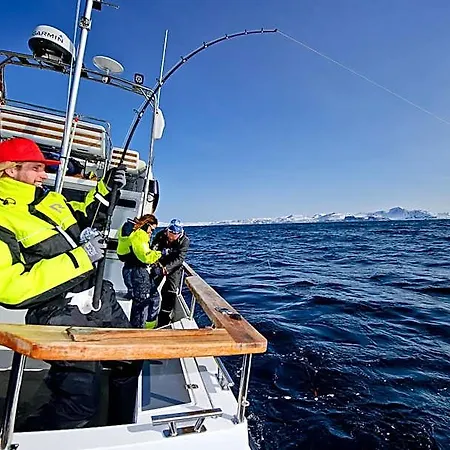 Hotel Lyngen Experience 4*
